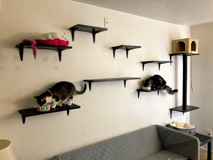 ae70015934a5b1b031923f8688-1