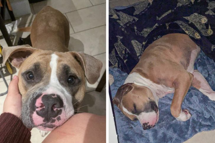 ae7439539eb261ff2d10409988