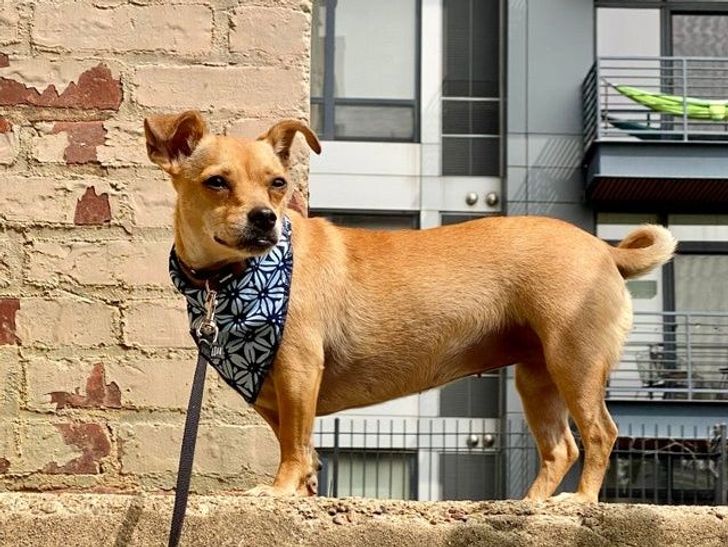 ae78025c91a27519f4b95699c2