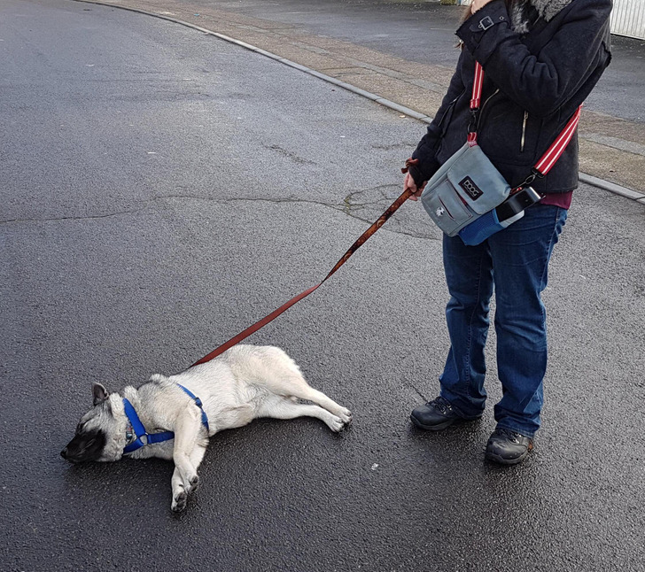 ae7aa95cdd83d526f547858d86 ae7aa95cdd83d526f547858d86