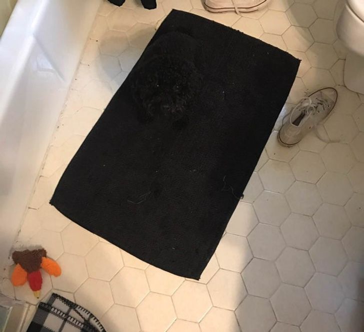 ae7f5959308da09f70afc1b6bc