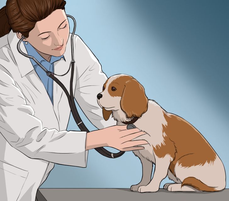 ae835356dc877858e234dce624