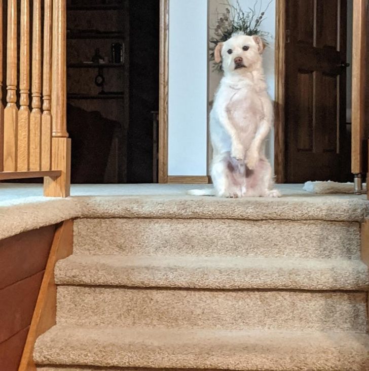 ae83e65e4b8b75821121b41d6b