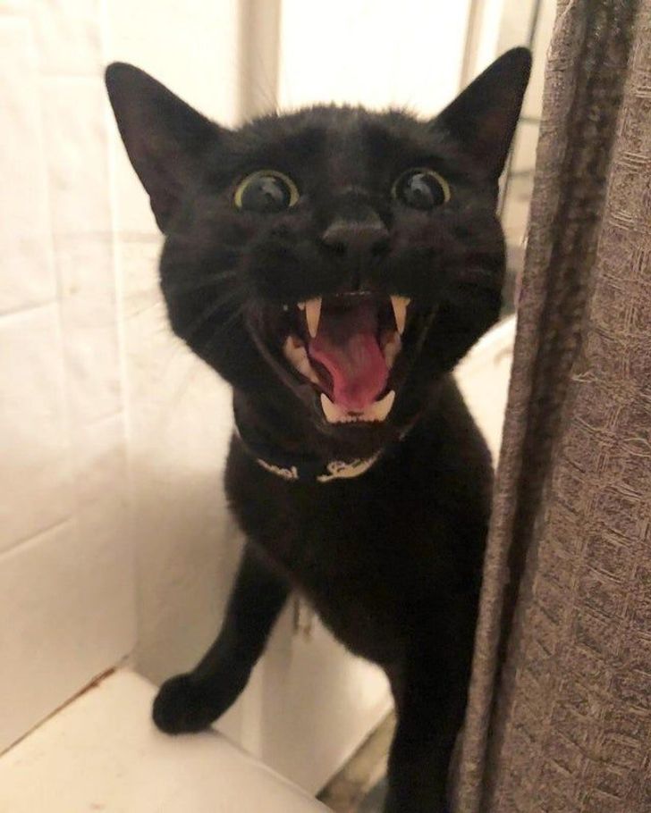 ae88545a319383a357b35f7d6d