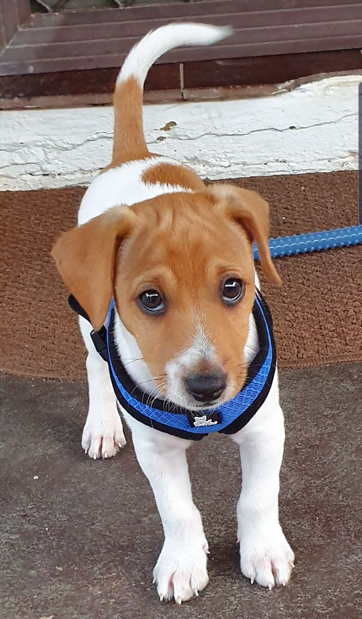 ae971c576a9b8ef25c77ed0c7a