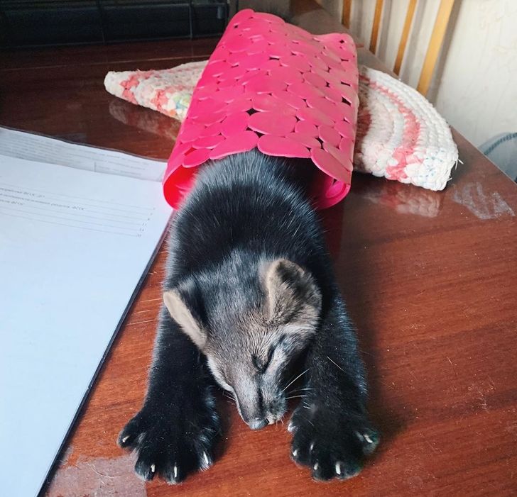 ae9a855b1781bbca03c05f4fd4