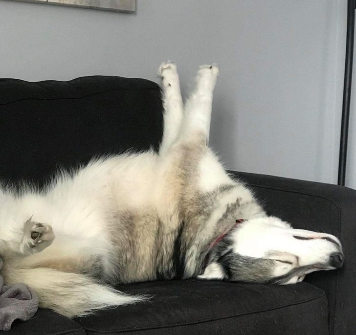 aea0195a92b262c6349c316bb1