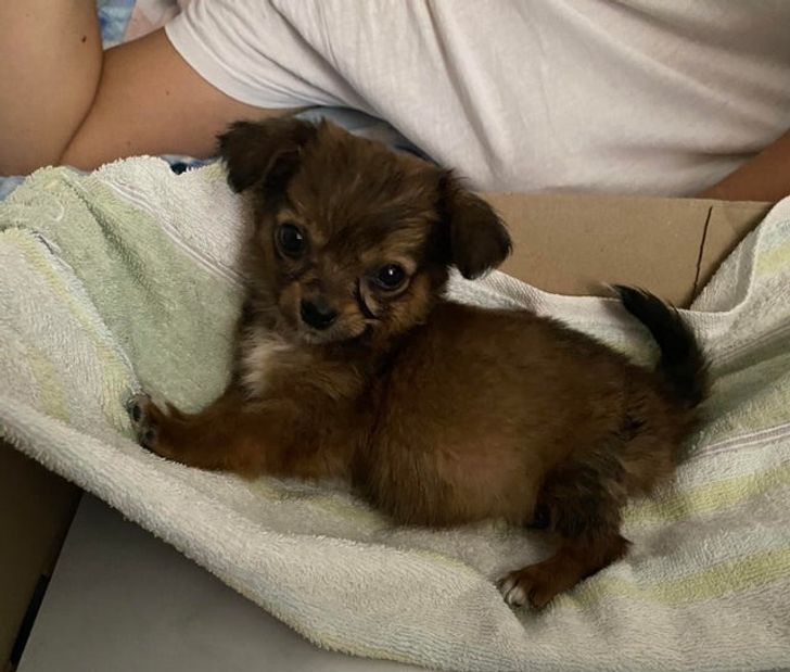 aea0765b1cb3f9764671dee3ec