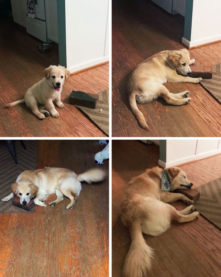 aea29c5da6a2b3ff00b33903e7-1