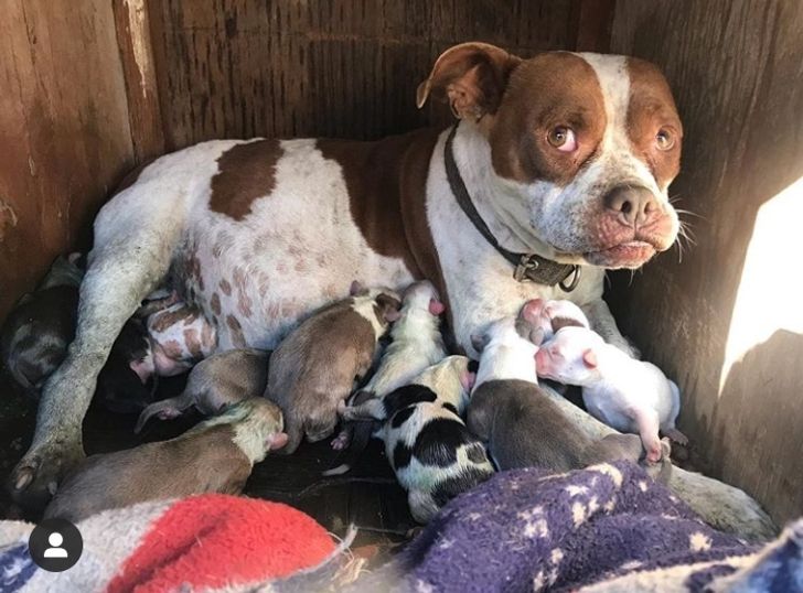 aea89a57d4916c8b6349347a72