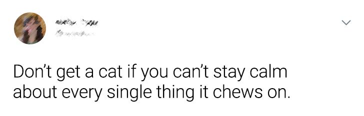 aea919509ba1964f6ee8496a42