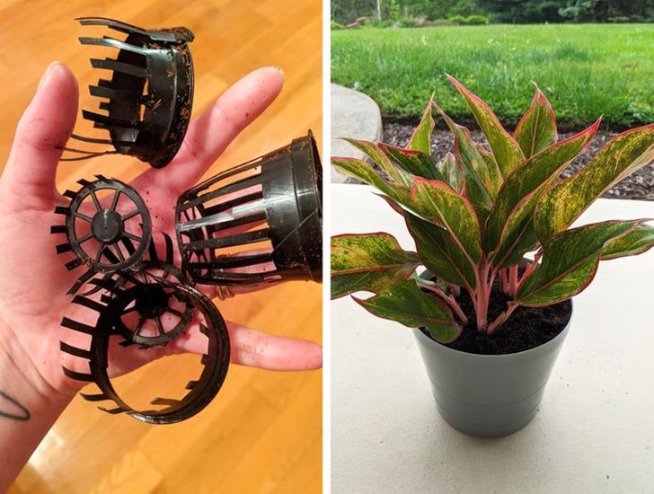 aeadcc5ab2978e9562029dd6c2