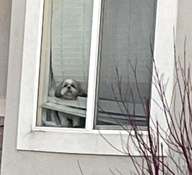 aeb2845a5d928b9c65af9a653f aeb2845a5d928b9c65af9a653f