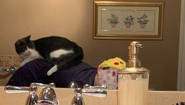 aeb41851efadf0d51944de2423