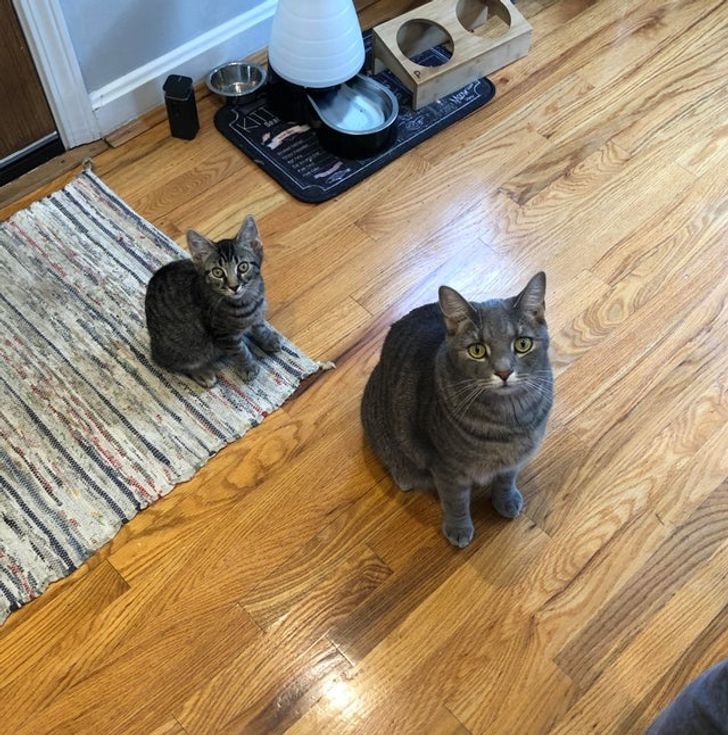 aeb7d95397be64ba0a367e3e76