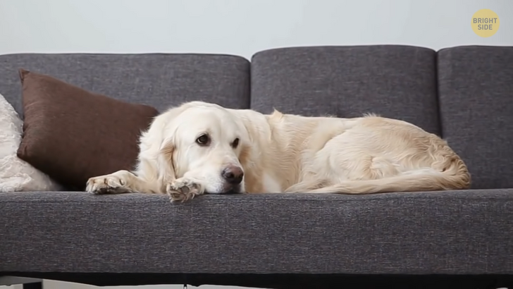 aeba4c5eaa87a816750cdd998e