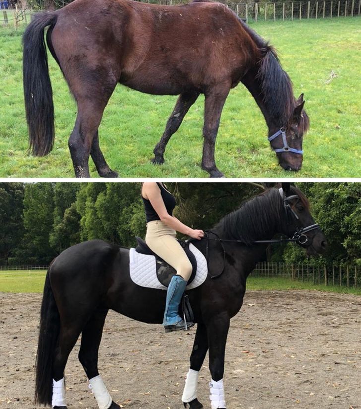 aeba645e15b9886a63468c4811