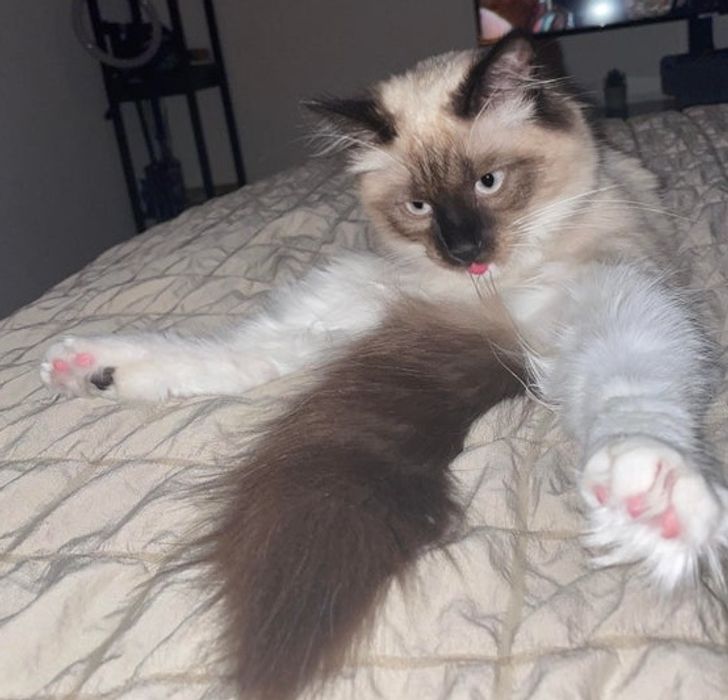 aebb0e58448940f5d96b4ab08b