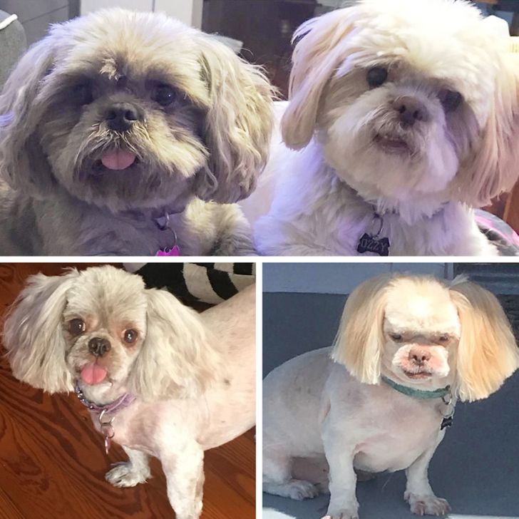 aebdff54c59ea59a86072ceb46