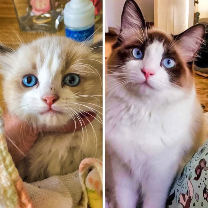 aece6d5217b43ab3486953b207 aece6d5217b43ab3486953b207