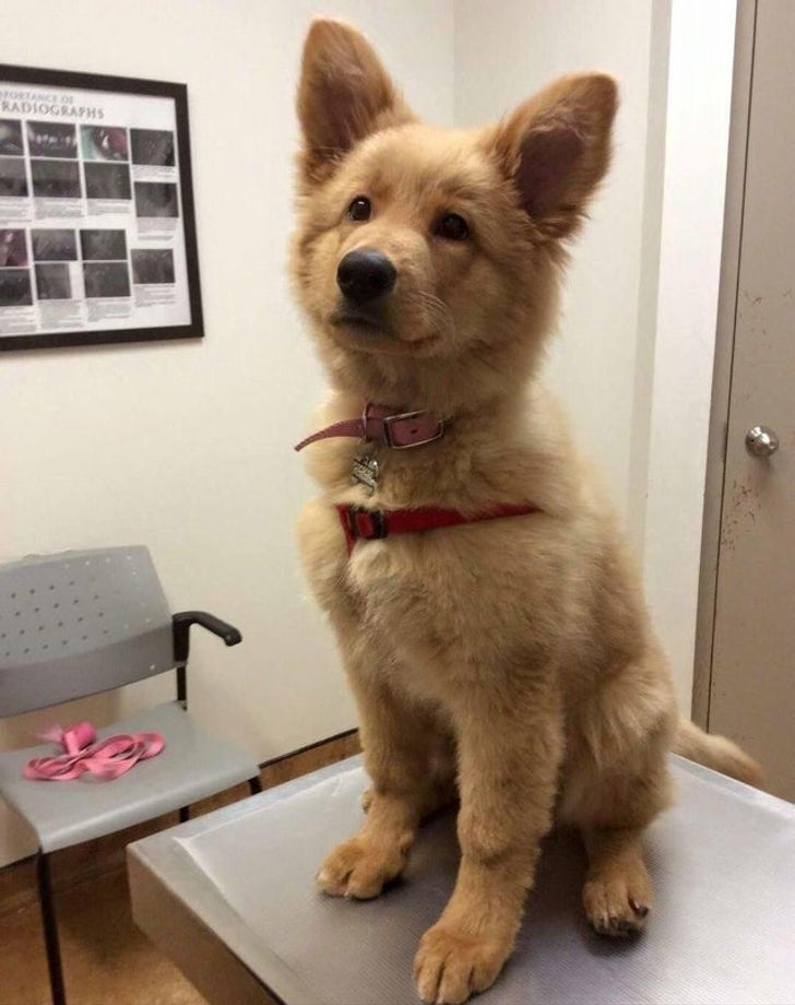 aeced75facad34d8cf833f23c9