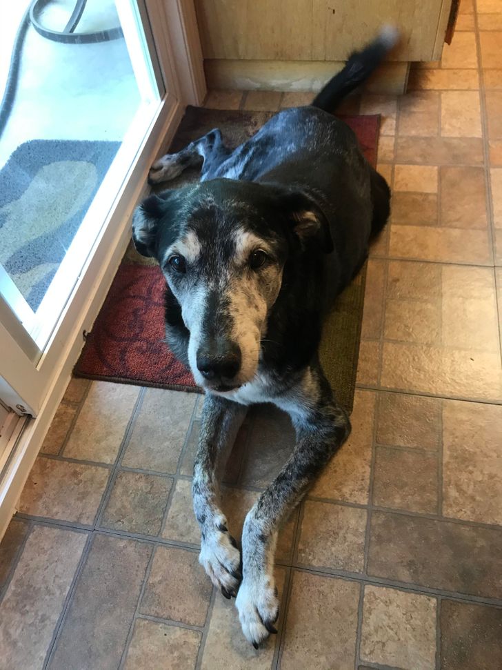 aed0de589da8da11482da8b874