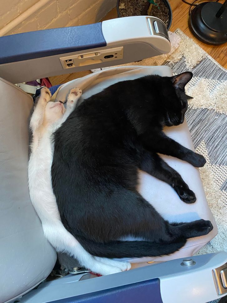 aede885c669c75e6ecd8c2db92