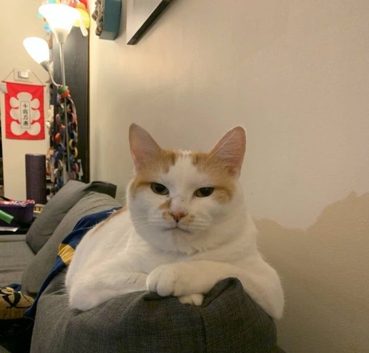 aef36557ef8171c31afccd85a4