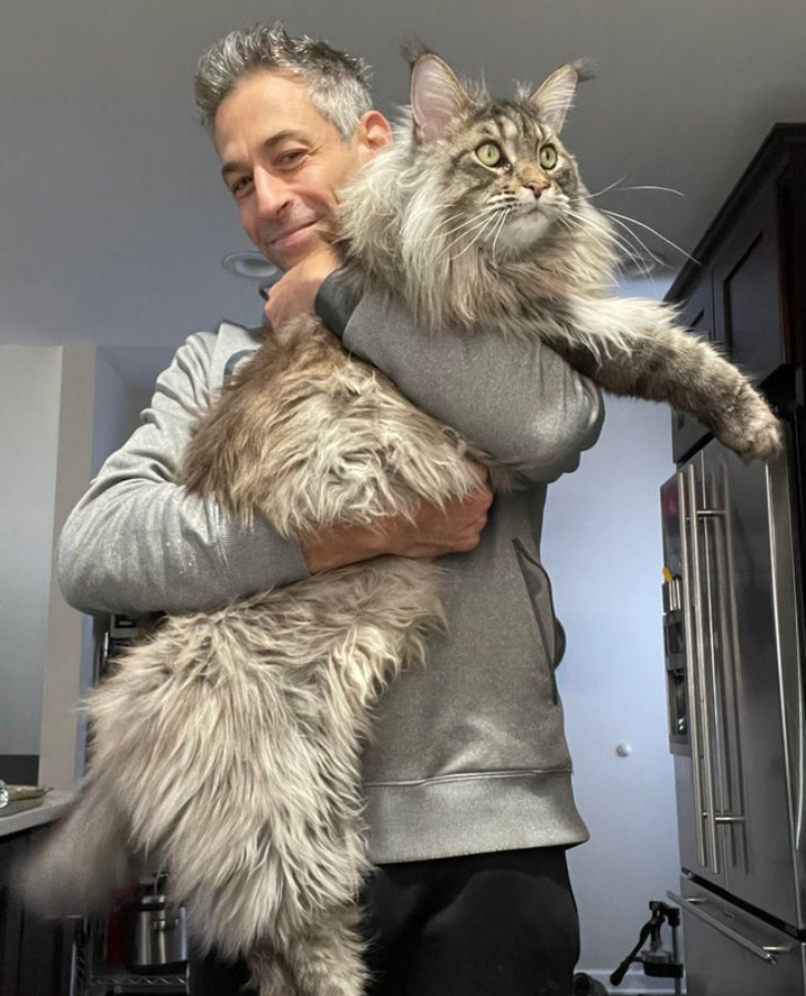 aef3af5dd988e4ec80cd79e4bc aef3af5dd988e4ec80cd79e4bc