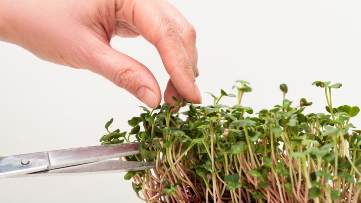 aefaa250079f02b4908d178c93