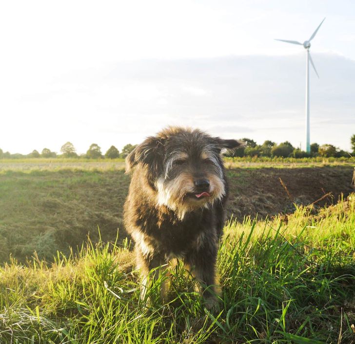 af05a95b6fb3de709f811f7030