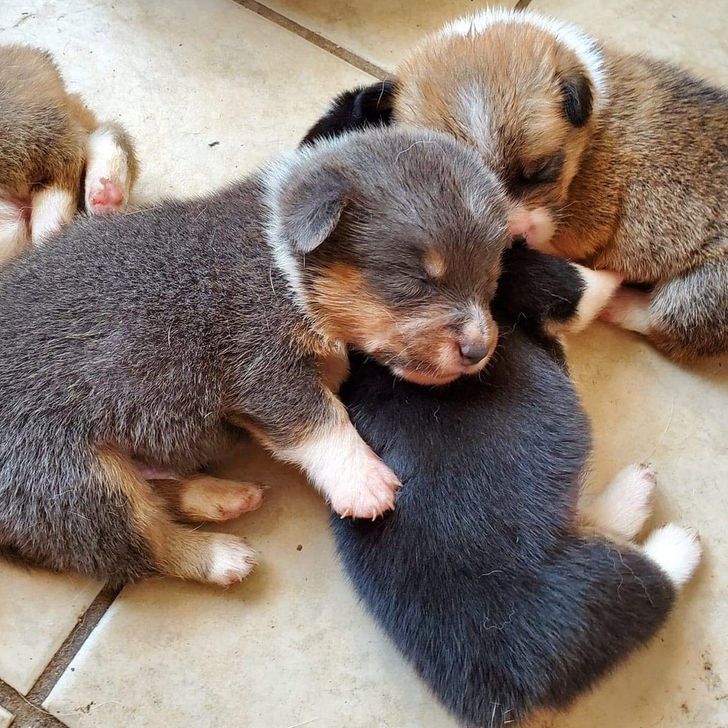 af14ba5429ab6216dbf5c52507