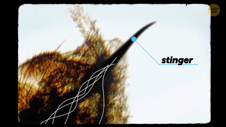 af15de56489761ac37e4b3c37f