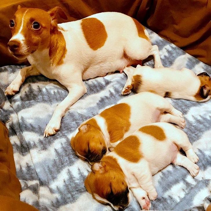 af2957547bbdfbf197d278d3fd