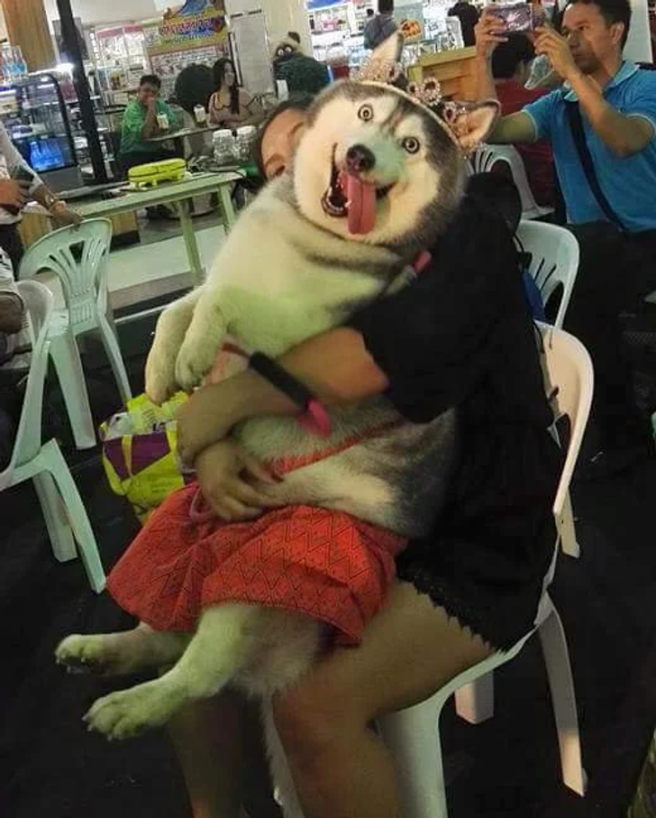 af2c485e8db2517efa9a4584ff