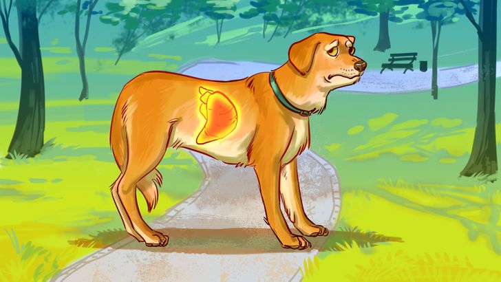 af32795f618facc35704fa0a14