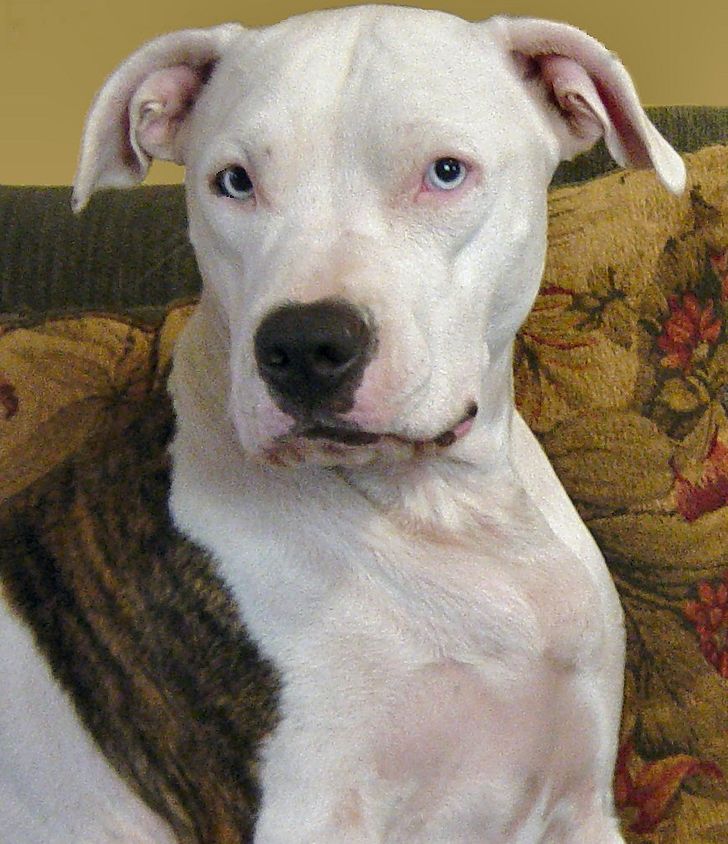 af3d4a5387bb6c5cfce6a9a246