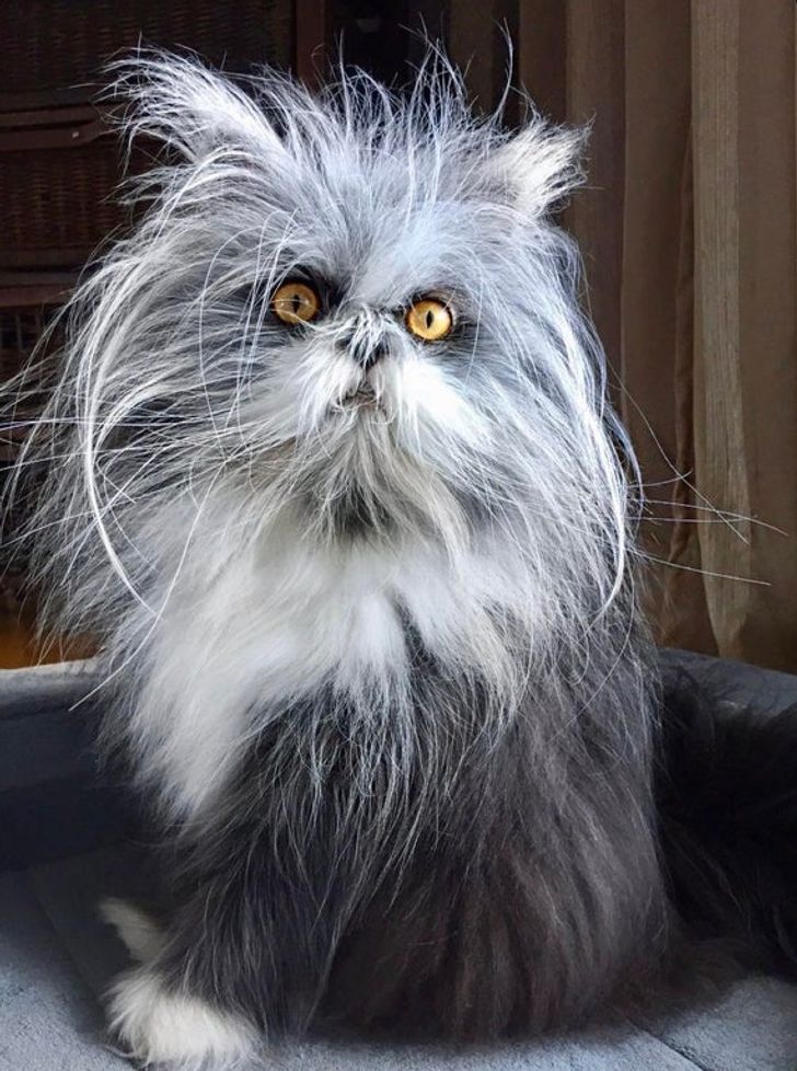 af4b10575d8b7a7595fb0463da