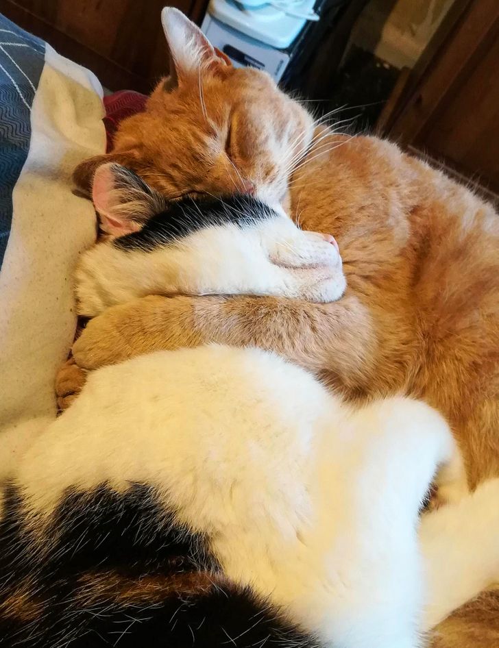 af536b55adad03506db3954024 af536b55adad03506db3954024