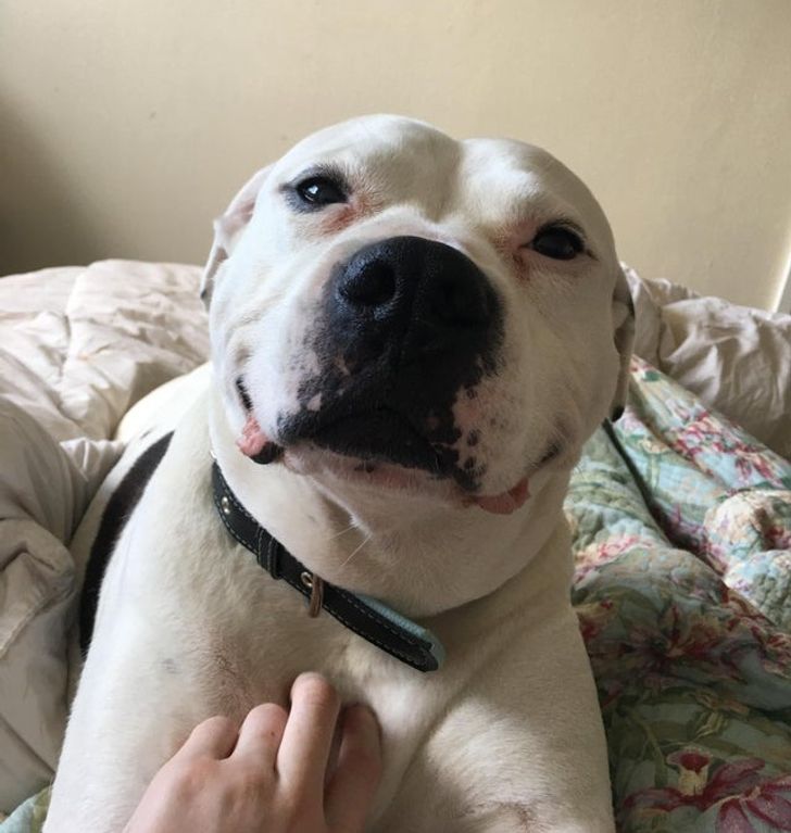 af629758c18a2df07609cb638c