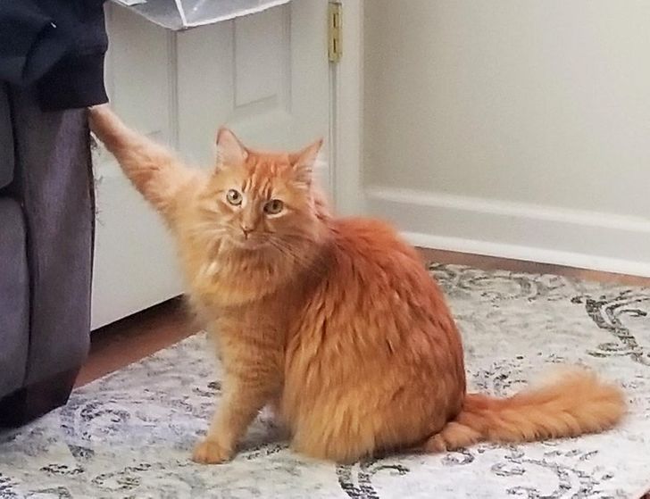 af73fb541cbb1ea8c7c9ae00c0