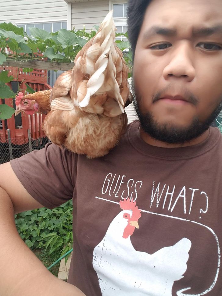 af767652c3bcf78c0911cba8c7