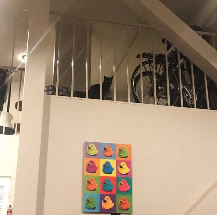 af76f158ee8f607c5b4000226d