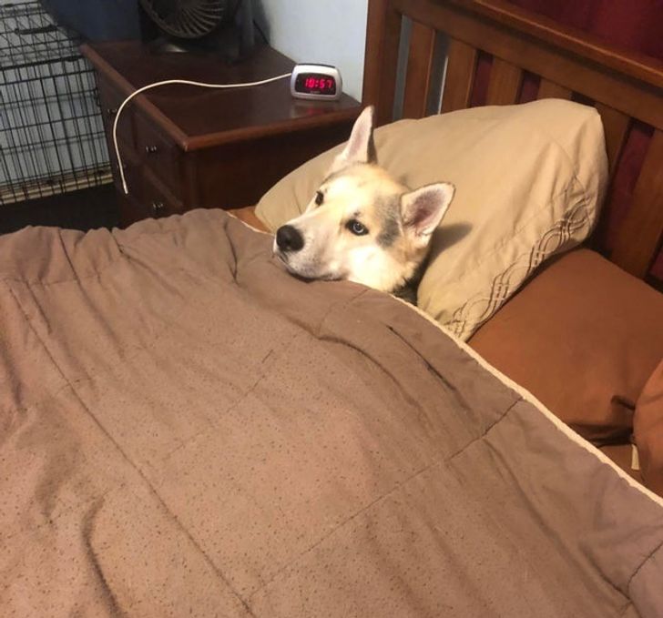 af794a543ebe8d5f52331be253