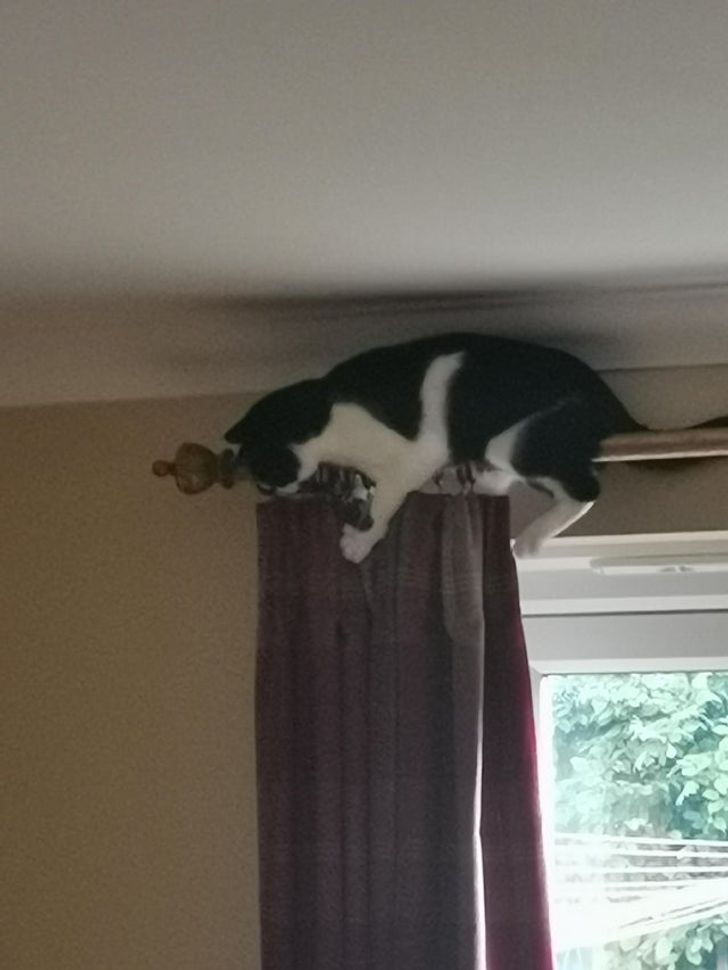 af7c8854098a1078681a9d0600