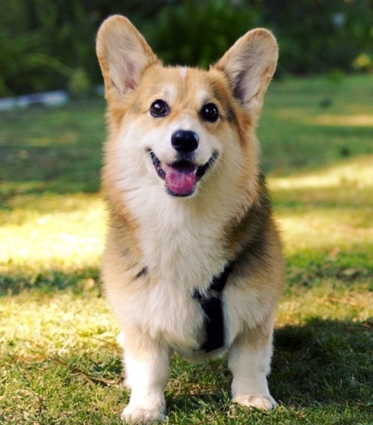 af82f655e99496e5049907f228