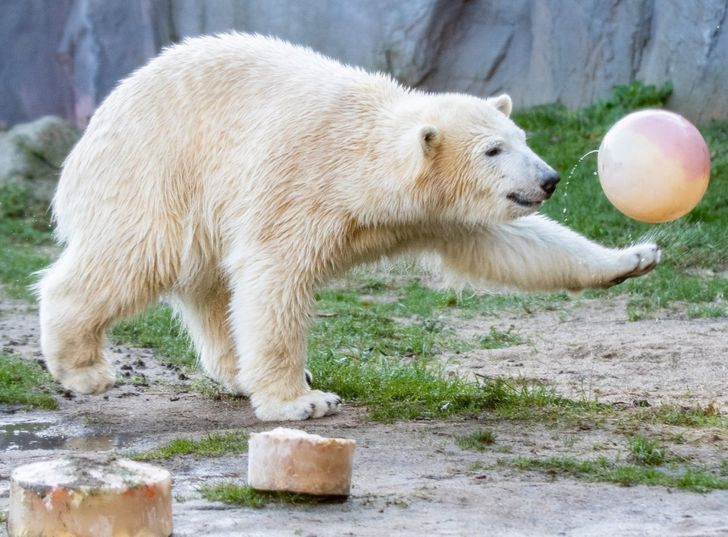 af8e995d13be73655d3e3e86e7