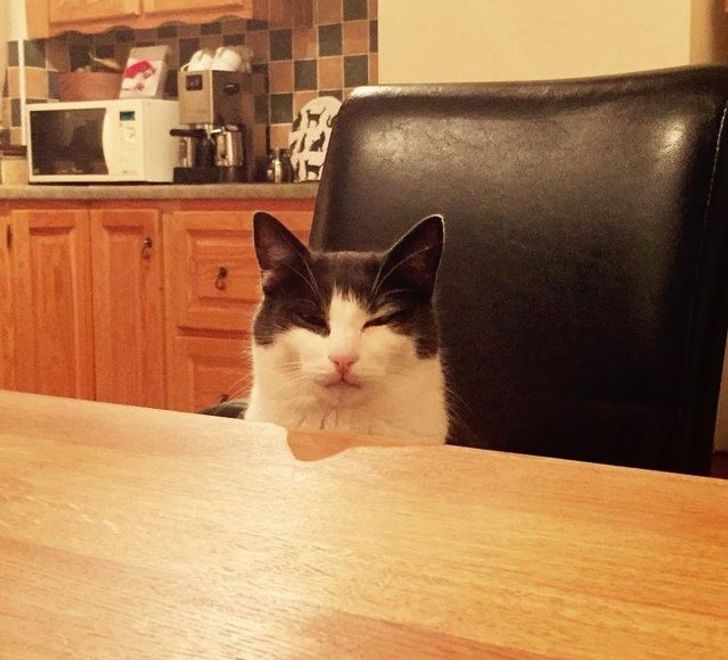 af905d5141b47980b3f31ff663