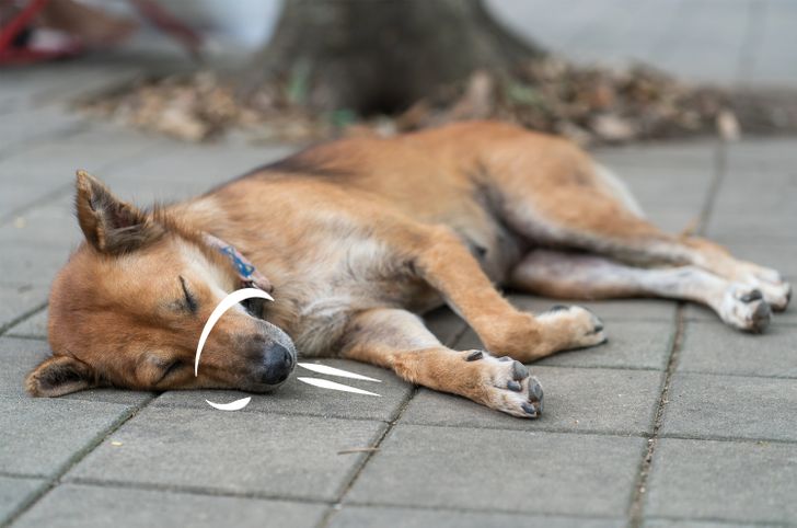 af972d5b879e2c5356567d0b42