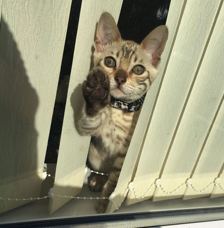 af9e03582cbd97145480e8cfa9